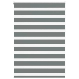 Žalūzijas Zebra 100X100 Cm Auduma Platums 95,9 Cm Poliesters Vidaxl