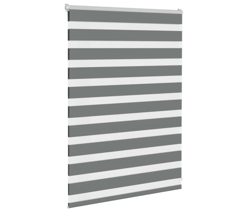 Žalūzijas Zebra 100X100 Cm Auduma Platums 95,9 Cm Poliesters Vidaxl