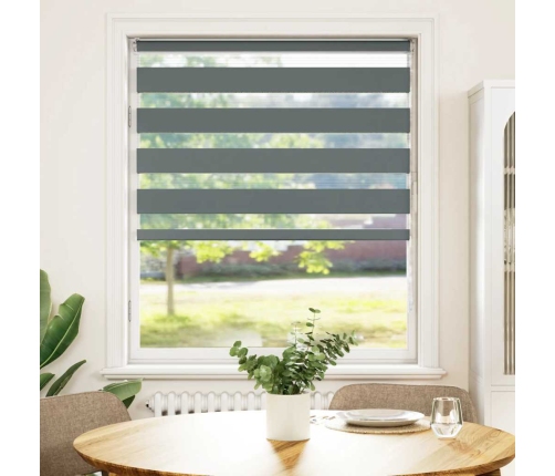 Žalūzijas Zebra 115X100 Cm Auduma Platums 110,9 Cm Poliesters Vidaxl