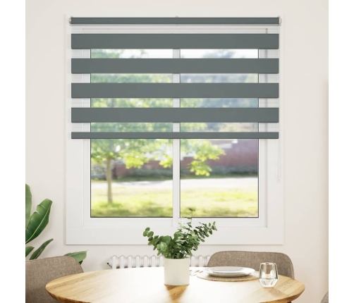 Žalūzijas Zebra 120X100 Cm Auduma Platums 115,9 Cm Poliesters Vidaxl
