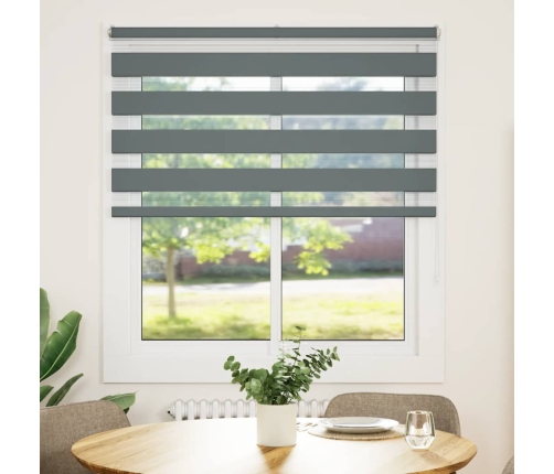 Žalūzijas Zebra 125X100 Cm Auduma Platums 120,9 Cm Poliesters Vidaxl