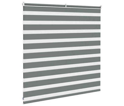 Žalūzijas Zebra 150X100 Cm Auduma Platums 145,9 Cm Poliesters Vidaxl