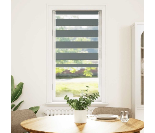 Žalūzijas Zebra 65X150 Cm Auduma Platums 60,9 Cm Poliesters Vidaxl