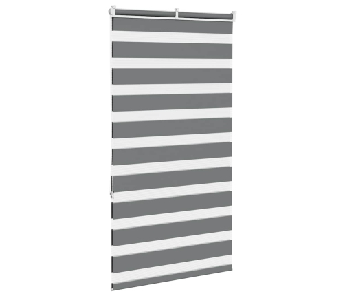 Žalūzijas Zebra 70X150 Cm Auduma Platums 65,9 Cm Poliesters Vidaxl