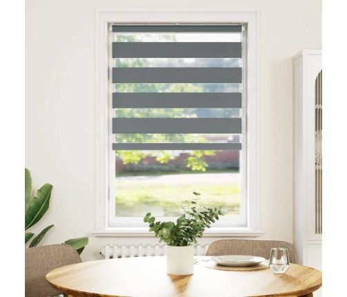 Žalūzijas Zebra 80X150 Cm Auduma Platums 75,9 Cm Poliesters Vidaxl