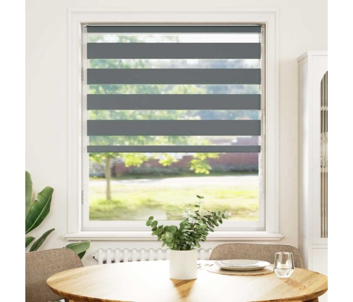 Žalūzijas Zebra 100X150 Cm Auduma Platums 95,9 Cm Poliesters Vidaxl