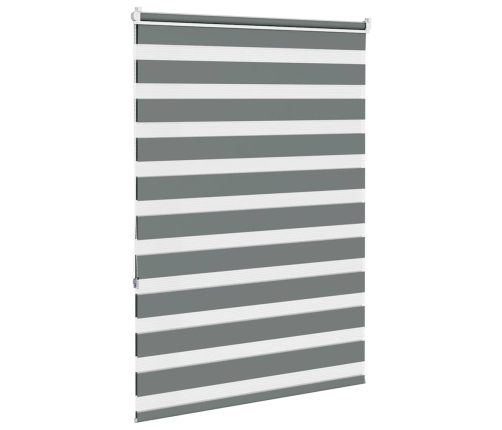Žalūzijas Zebra 115X150 Cm Auduma Platums 110,9 Cm Poliesters Vidaxl
