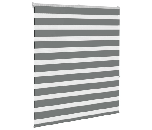 Žalūzijas Zebra 130X150 Cm Auduma Platums 125,9 Cm Poliesters Vidaxl