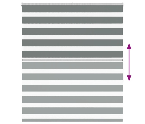 Žalūzijas Zebra 135X150 Cm Auduma Platums 130,9 Cm Poliesters Vidaxl