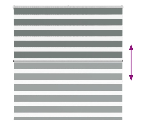 Žalūzijas Zebra 150X150 Cm Auduma Platums 145,9 Cm Poliesters Vidaxl