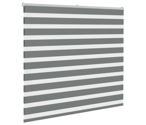 Žalūzijas Zebra 155X150 Cm Auduma Platums 150,9 Cm Poliesters Vidaxl