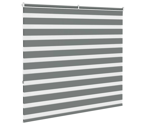 Žalūzijas Zebra 155X150 Cm Auduma Platums 150,9 Cm Poliesters Vidaxl