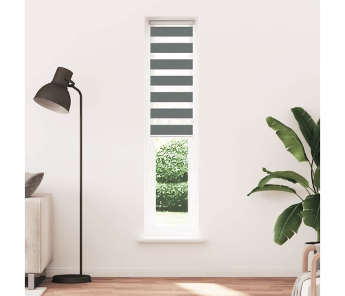 Žalūzijas Zebra 45X200 Cm Auduma Platums 40,9 Cm Poliesters Vidaxl