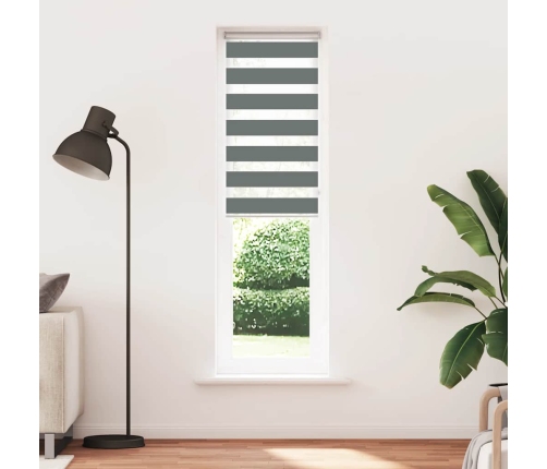 Žalūzijas Zebra 55X200 Cm Auduma Platums 50,9 Cm Poliesters Vidaxl