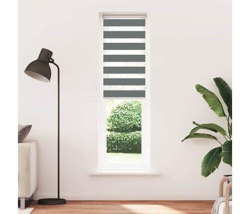 Žalūzijas Zebra 60X200 Cm Auduma Platums 55,9 Cm Poliesters Vidaxl