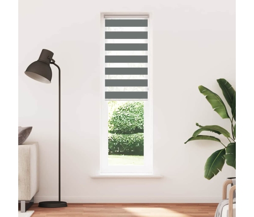 Žalūzijas Zebra 70X200 Cm Auduma Platums 65,9 Cm Poliesters Vidaxl