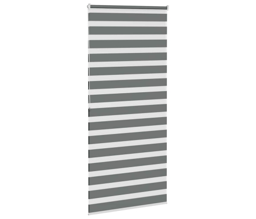 Žalūzijas Zebra 95X200 Cm Auduma Platums 90,9 Cm Poliesters Vidaxl