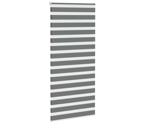 Žalūzijas Zebra 100X200 Cm Auduma Platums 95,9 Cm Poliesters Vidaxl