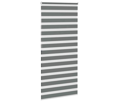 Žalūzijas Zebra 105X200 Cm Auduma Platums 100,9 Cm Poliesters Vidaxl