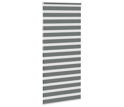 Žalūzijas Zebra 115X200 Cm Auduma Platums 110,9 Cm Poliesters Vidaxl