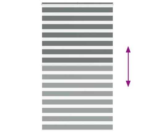 Žalūzijas Zebra 120X200 Cm Auduma Platums 115,9 Cm Poliesters Vidaxl