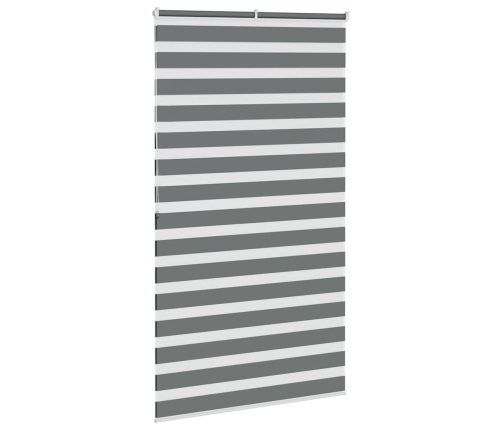 Žalūzijas Zebra 125X200 Cm Auduma Platums 120,9 Cm Poliesters Vidaxl