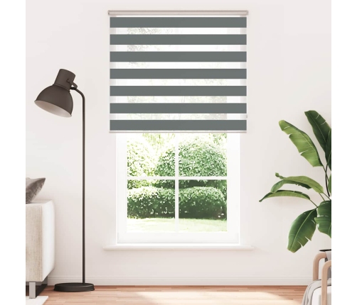 Žalūzijas Zebra 130X200 Cm Auduma Platums 125,9 Cm Poliesters Vidaxl
