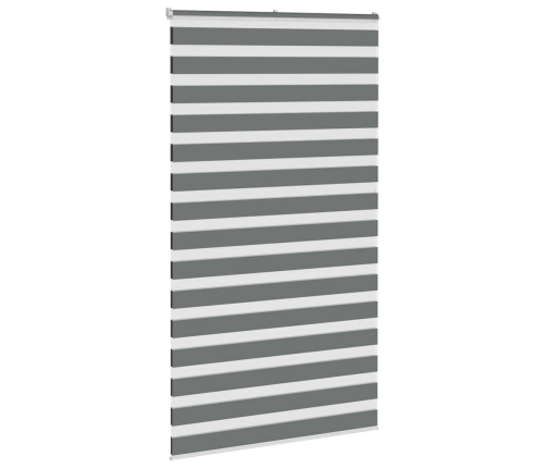 Žalūzijas Zebra 130X200 Cm Auduma Platums 125,9 Cm Poliesters Vidaxl