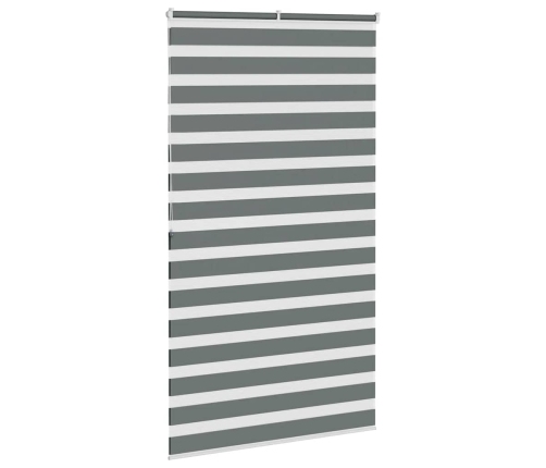 Žalūzijas Zebra 135X200 Cm Auduma Platums 130,9 Cm Poliesters Vidaxl