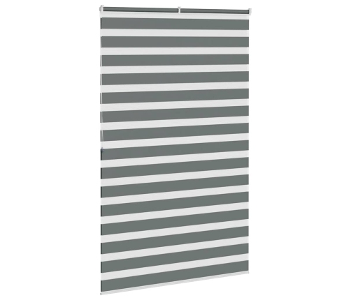 Žalūzijas Zebra 145X200 Cm Auduma Platums 140,9 Cm Poliesters Vidaxl