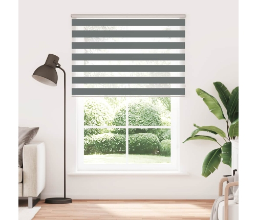 Žalūzijas Zebra 160X200 Cm Auduma Platums 155,9 Cm Poliesters Vidaxl