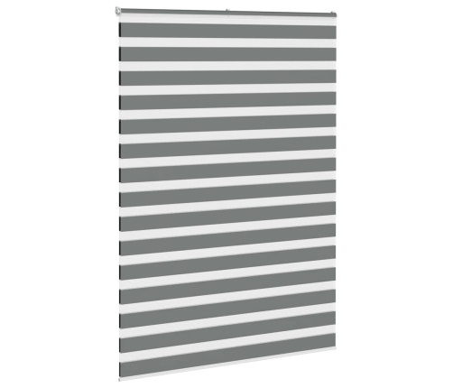 Žalūzijas Zebra 165X200 Cm Auduma Platums 160,9 Cm Poliesters Vidaxl