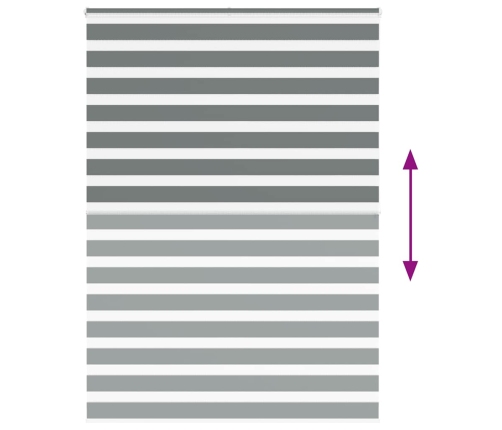 Žalūzijas Zebra 165X200 Cm Auduma Platums 160,9 Cm Poliesters Vidaxl