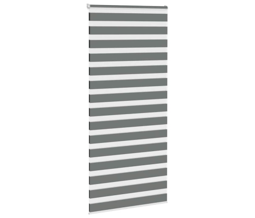 Žalūzijas Zebra 95X230 Cm Auduma Platums 90,9 Cm Poliesters Vidaxl