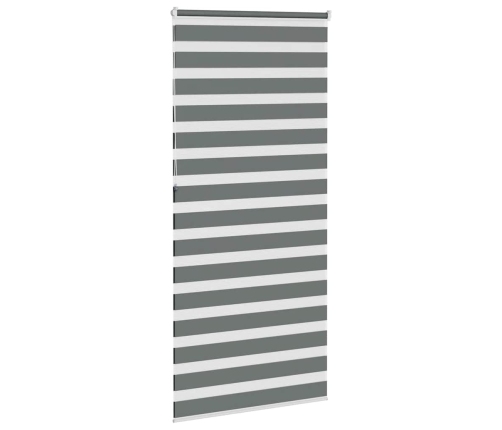 Žalūzijas Zebra 95X230 Cm Auduma Platums 90,9 Cm Poliesters Vidaxl