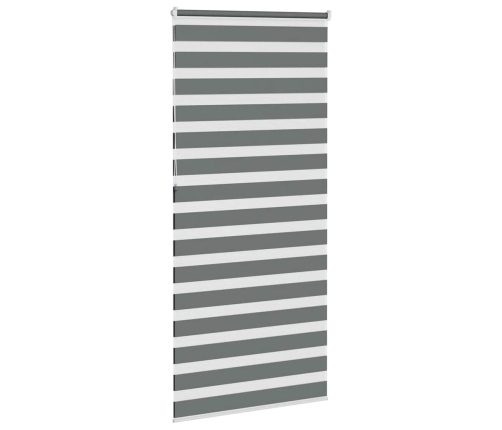 Žalūzijas Zebra 100X230 Cm Auduma Platums 95,9 Cm Poliesters Vidaxl