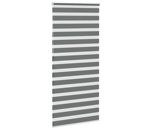 Žalūzijas Zebra 105X230 Cm Auduma Platums 100,9 Cm Poliesters Vidaxl