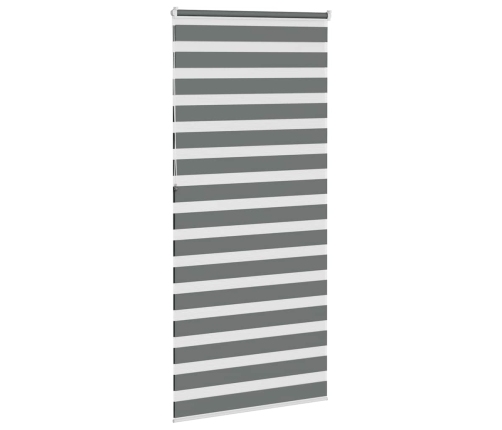 Žalūzijas Zebra 110X230 Cm Auduma Platums 105,9 Cm Poliesters Vidaxl