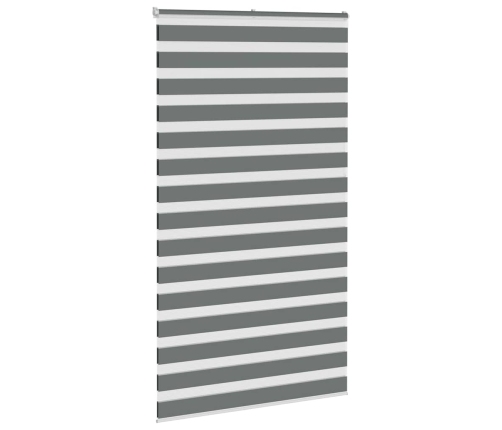 Žalūzijas Zebra 120X230 Cm Auduma Platums 115,9 Cm Poliesters Vidaxl