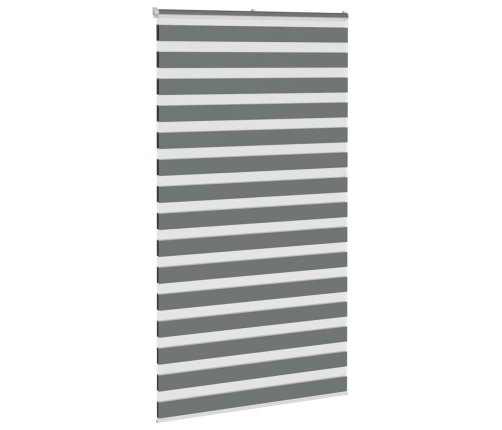Žalūzijas Zebra 125X230 Cm Auduma Platums 120,9 Cm Poliesters Vidaxl