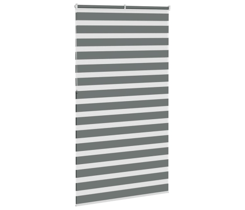 Žalūzijas Zebra 125X230 Cm Auduma Platums 120,9 Cm Poliesters Vidaxl