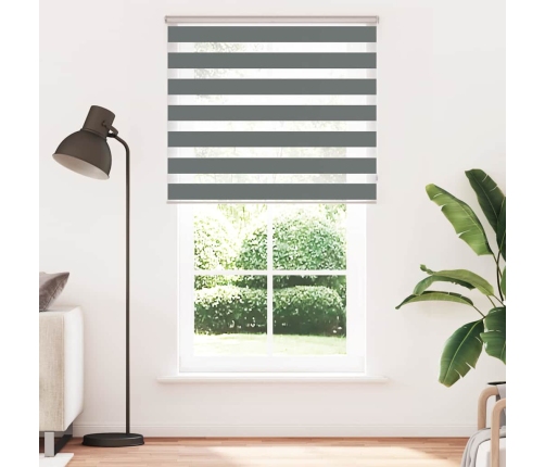 Žalūzijas Zebra 135X230 Cm Auduma Platums 130,9 Cm Poliesters Vidaxl