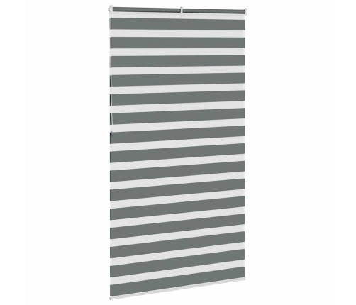 Žalūzijas Zebra 135X230 Cm Auduma Platums 130,9 Cm Poliesters Vidaxl