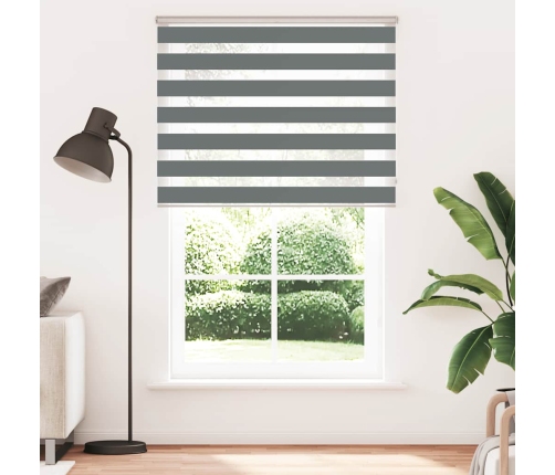 Žalūzijas Zebra 140X230 Cm Auduma Platums 135,9 Cm Poliesters Vidaxl