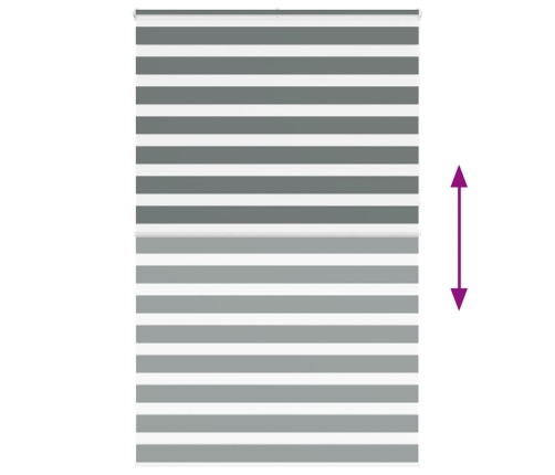 Žalūzijas Zebra 140X230 Cm Auduma Platums 135,9 Cm Poliesters Vidaxl