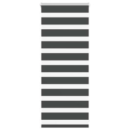 Žalūzijas Zebra 60X100 Cm Auduma Platums 55,9 Cm Poliesters Vidaxl