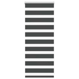 Žalūzijas Zebra 65X100 Cm Auduma Platums 60,9 Cm Poliesters Vidaxl