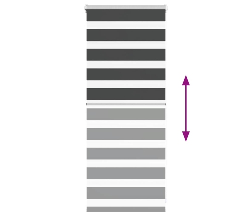 Žalūzijas Zebra 65X100 Cm Auduma Platums 60,9 Cm Poliesters Vidaxl