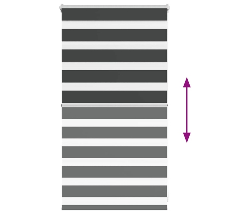 Žalūzijas Zebra 70X100 Cm Auduma Platums 65,9 Cm Poliesters Vidaxl