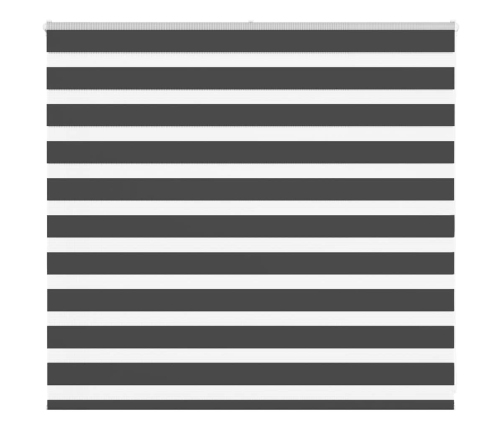 Žalūzijas Zebra 155X100 Cm Auduma Platums 150,9 Cm Poliesters Vidaxl